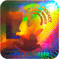 Hologram indywidualny 1 hologram indywidualny 1