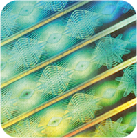 Hologramy samoprzylepne 12 hologram wzor 7 11