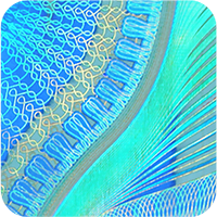 Hologramy samoprzylepne 8 hologram nowy 2 7